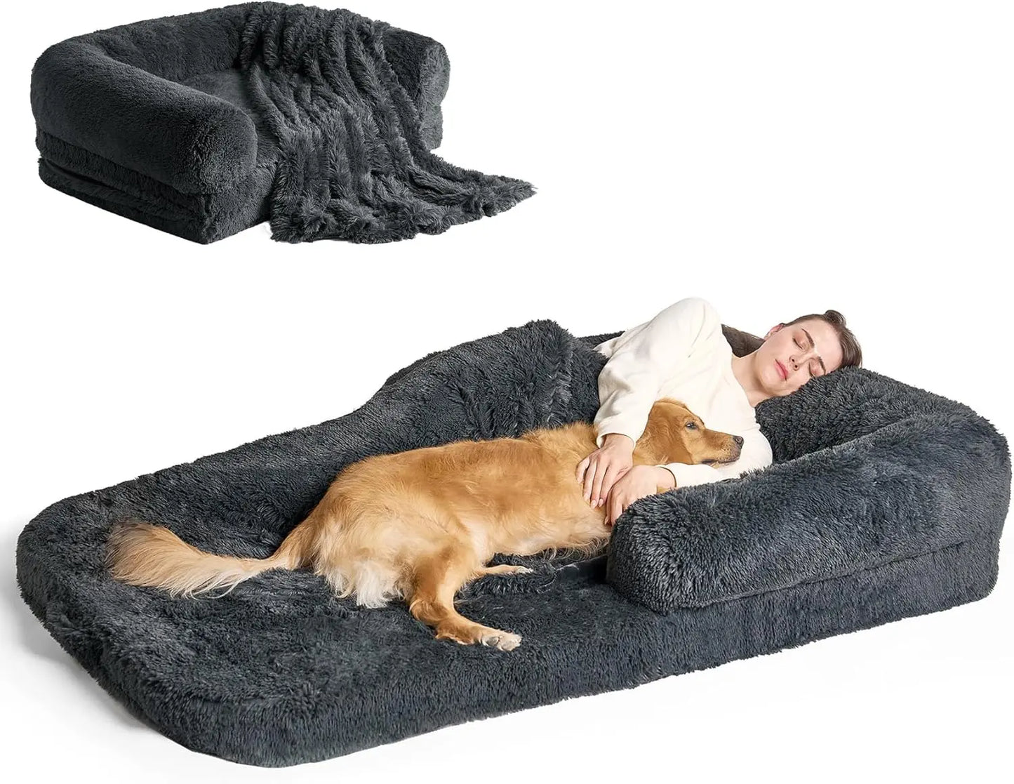 Foldable Bed for Both Humans and Dogs