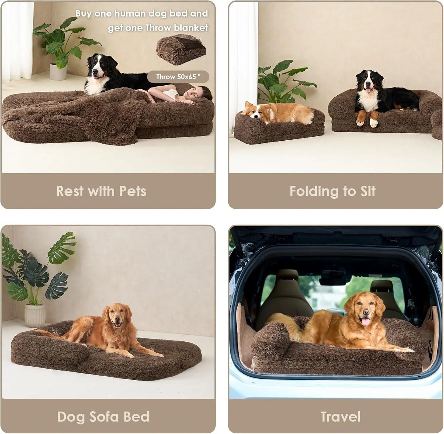 Foldable Bed for Both Humans and Dogs